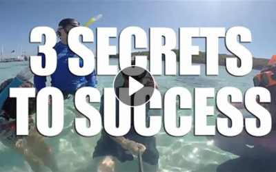 3 Secrets To Success