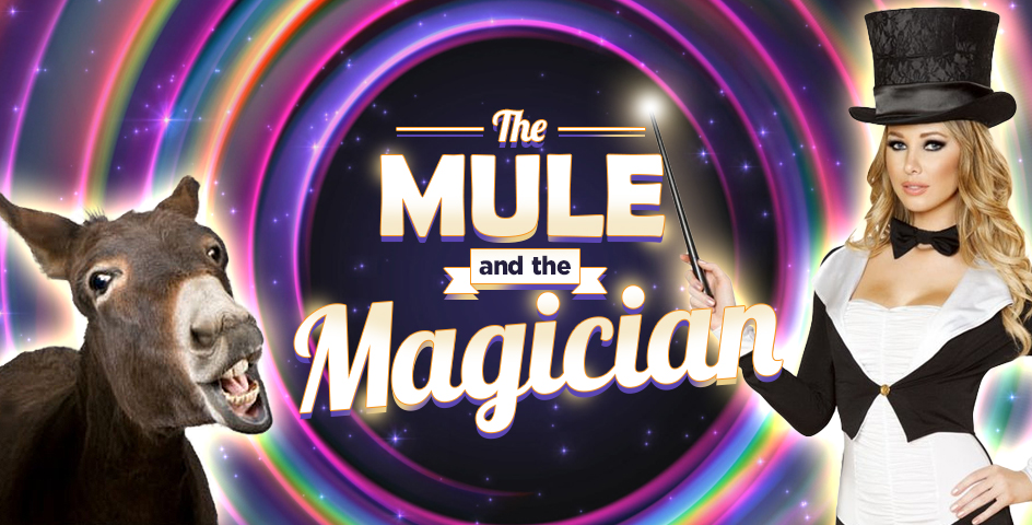 MULE and MAGICIAN BANNER 2