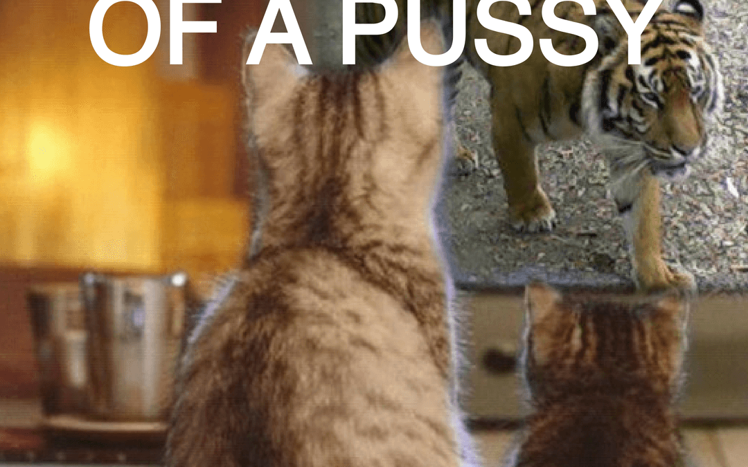 #140: CONFESSIONS OF A PUSSY