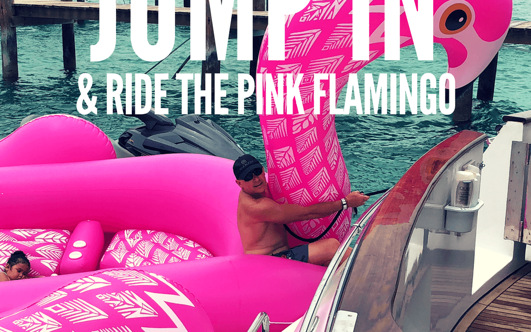 #103: Jump In And Ride The Pink Flamingo