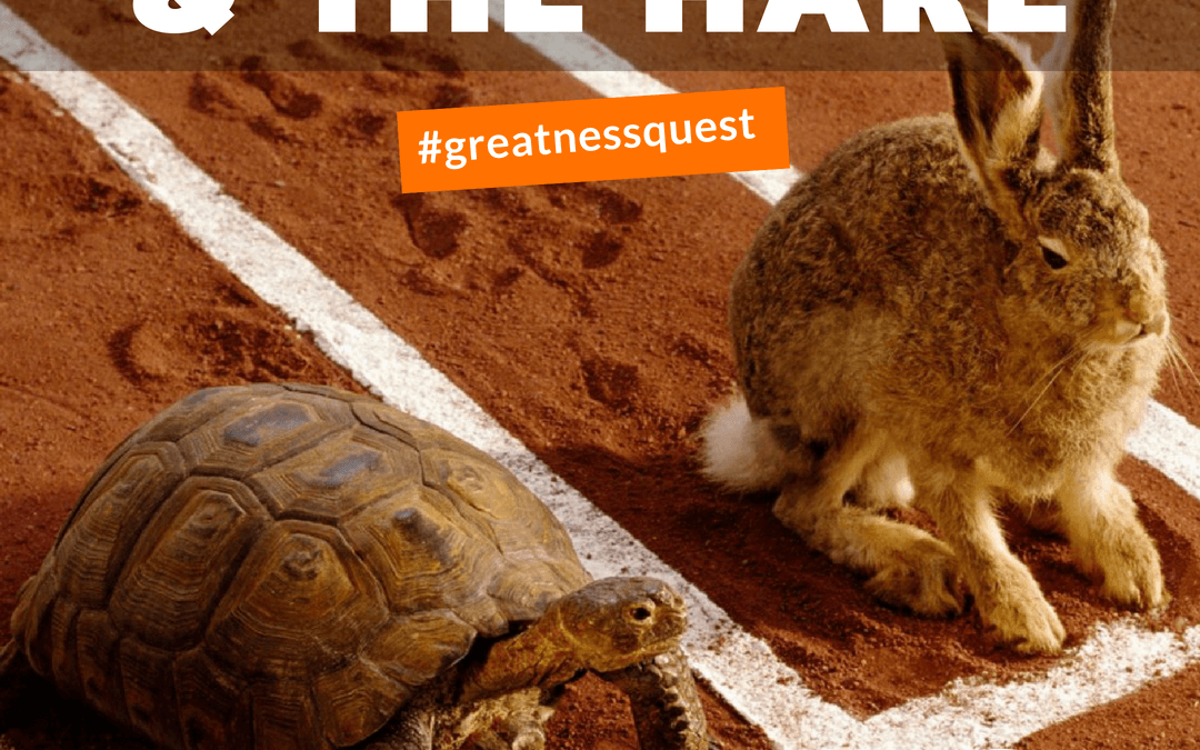 #74: THE TURTLE AND THE HARE
