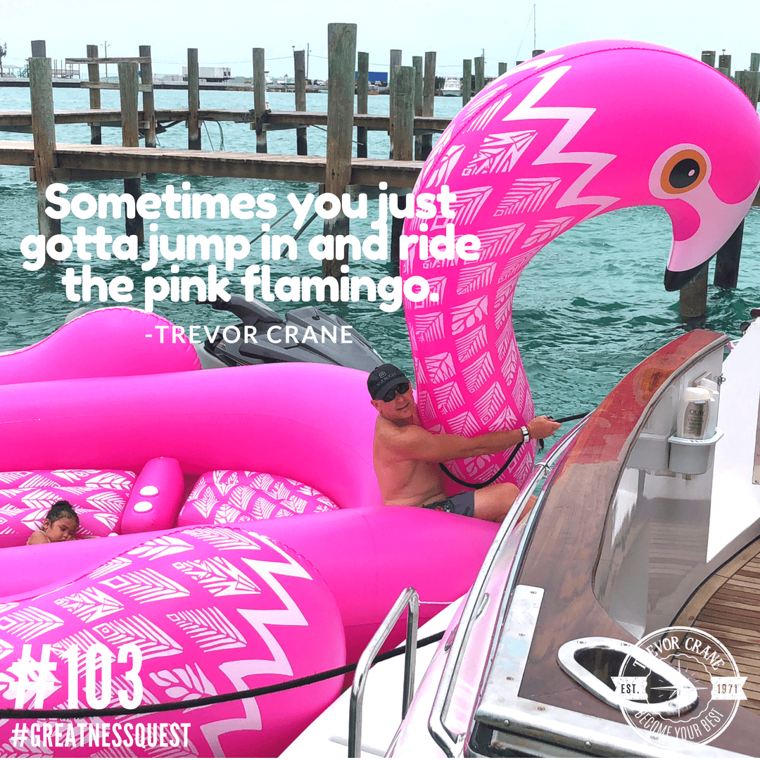 Sometimes you just gotta jump in and ride the pink flamingo